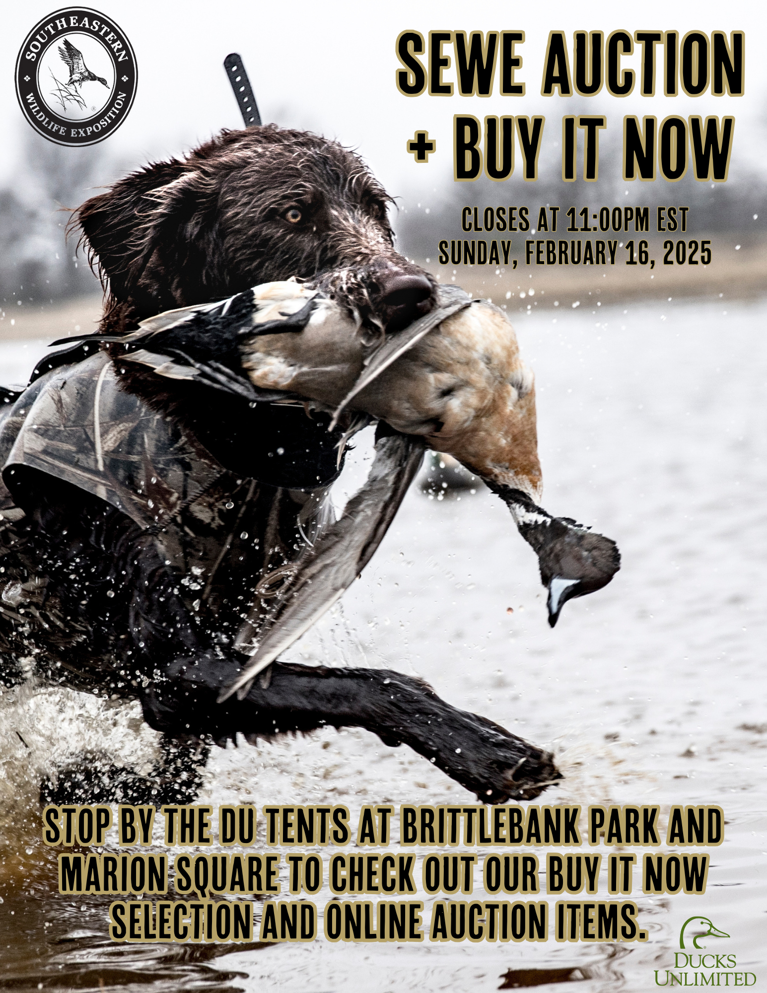 Online Auction Flyer.png